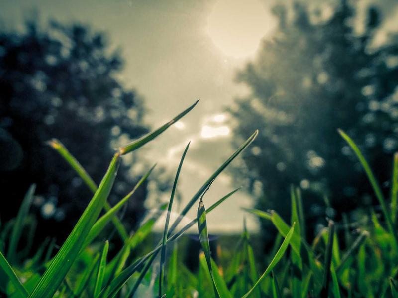 苹果ID移除设备<br>管理不信任设备一键移除